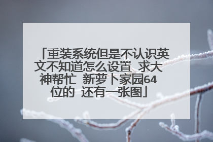重装系统但是不认识英文不知道怎么设置 求大神帮忙 新萝卜家园64位的 还有一张图
