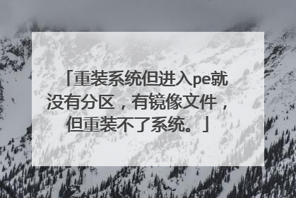 重装系统但进入pe就没有分区，有镜像文件，但重装不了系统。