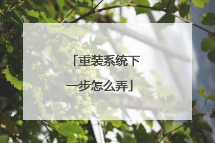 重装系统下一步怎么弄