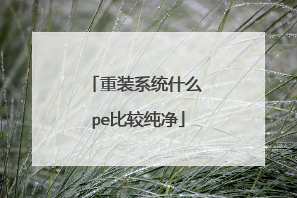 重装系统什么pe比较纯净