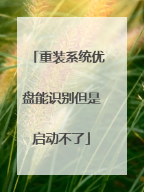 重装系统优盘能识别但是启动不了