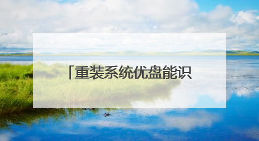 重装系统优盘能识别但是启动不了