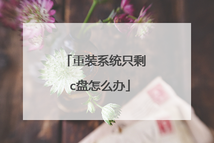 重装系统只剩c盘怎么办