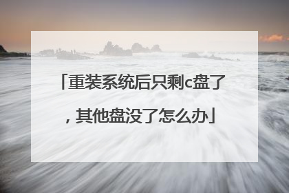 重装系统后只剩c盘了,其他盘没了怎么办