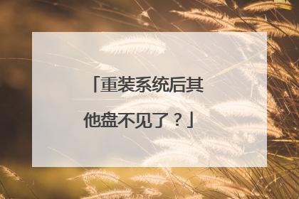 重装系统后其他盘不见了？