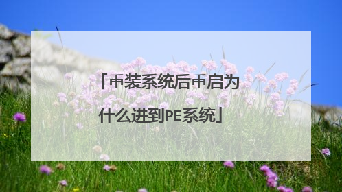 重装系统后重启为什么进到PE系统
