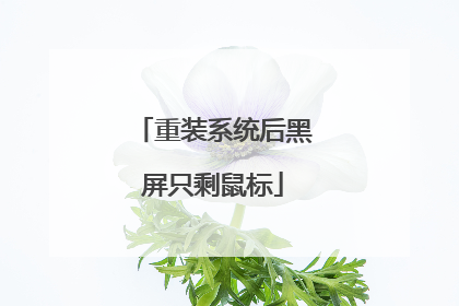 重装系统后黑屏只剩鼠标