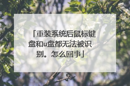 重装系统后鼠标键盘和u盘都无法被识别。怎么回事