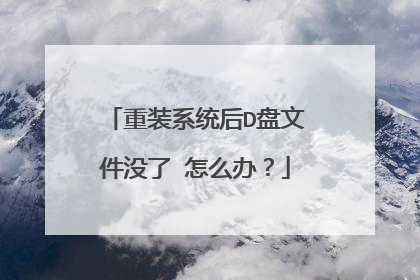重装系统后D盘文件没了 怎么办?