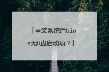 重装系统后bios无U盘启动项？