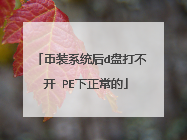 重装系统后d盘打不开 PE下正常的