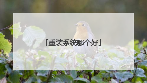 重装系统哪个好