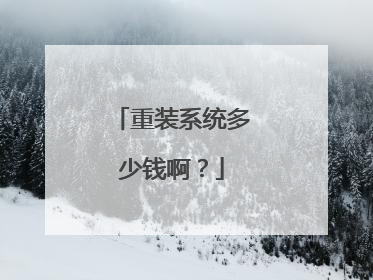 重装系统多少钱啊?