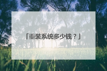 重装系统多少钱?
