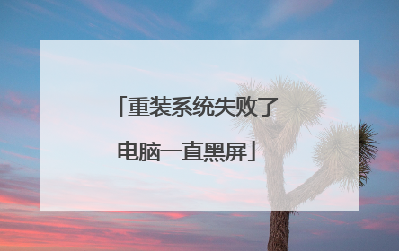 重装系统失败了电脑一直黑屏