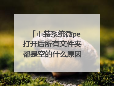 重装系统微pe打开后所有文件夹都是空的什么原因,也找不到镜像没法重装?