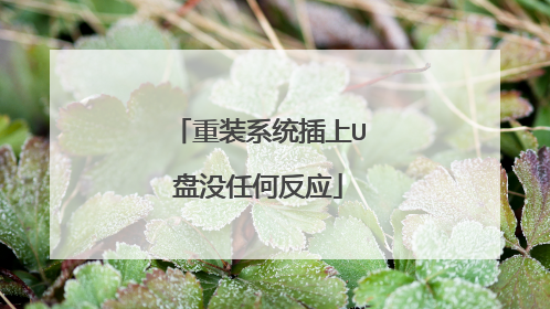 重装系统插上U盘没任何反应