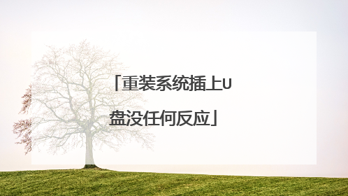 重装系统插上U盘没任何反应