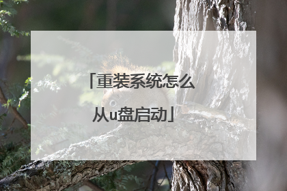重装系统怎么从u盘启动