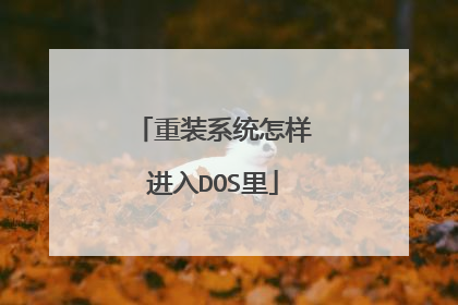 重装系统怎样进入DOS里