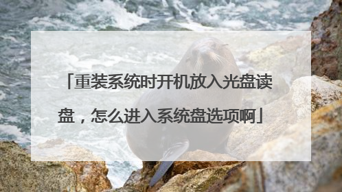 重装系统时开机放入光盘读盘,怎么进入系统盘选项啊