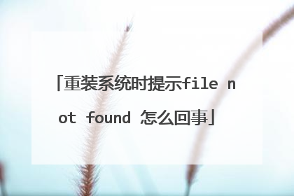 重装系统时提示file not found 怎么回事