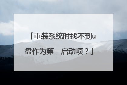 重装系统时找不到u盘作为第一启动项?
