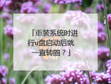 重装系统时进行u盘启动后就一直转圈?