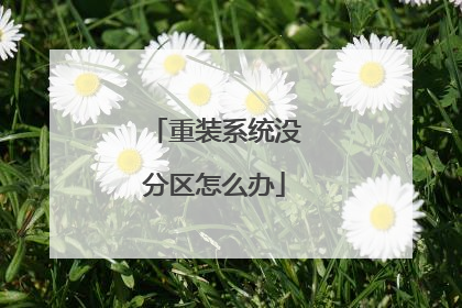 重装系统没分区怎么办