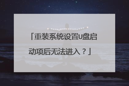 重装系统设置U盘启动项后无法进入?
