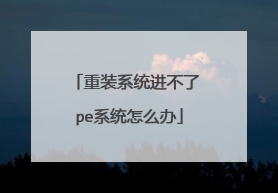 重装系统进不了pe系统怎么办
