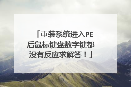 重装系统进入PE后鼠标键盘数字键都没有反应求解答!