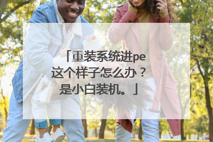 重装系统进pe这个样子怎么办?是小白装机。