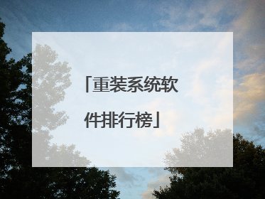 重装系统软件排行榜