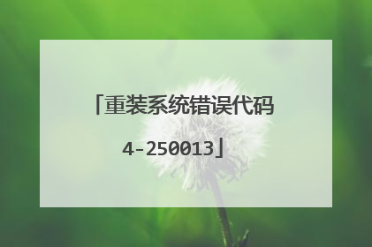 重装系统错误代码4-250013