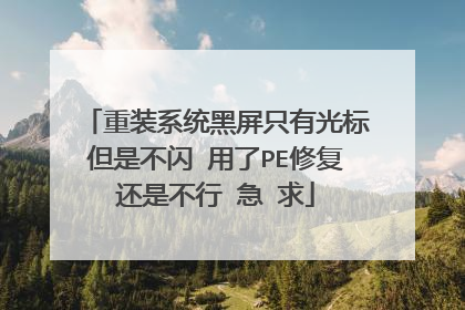 重装系统黑屏只有光标但是不闪 用了PE修复还是不行 急 求