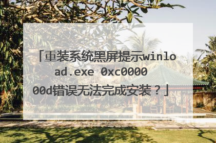 重装系统黑屏提示winload.exe 0xc000000d错误无法完成安装?