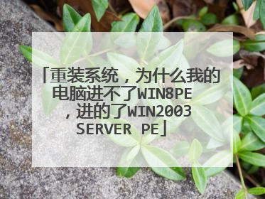 重装系统,为什么我的电脑进不了WIN8PE,进的了WIN2003SERVER PE