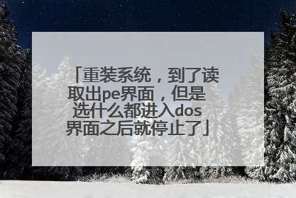 重装系统，到了读取出pe界面，但是选什么都进入dos界面之后就停止了