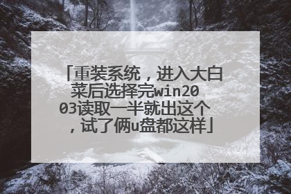 重装系统，进入大白菜后选择完win2003读取一半就出这个，试了俩u盘都这样