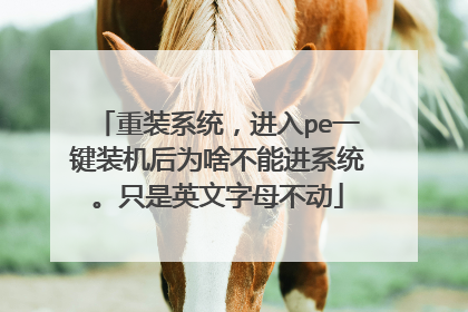重装系统,进入pe一键装机后为啥不能进系统。只是英文字母不动