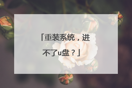 重装系统,进不了u盘?