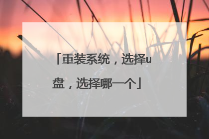 重装系统,选择u盘,选择哪一个