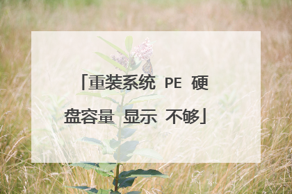 重装系统 PE 硬盘容量 显示 不够