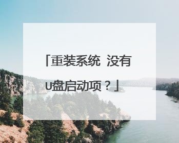 重装系统 没有U盘启动项?