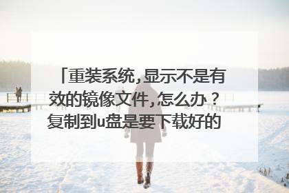 重装系统,显示不是有效的镜像文件,怎么办？复制到u盘是要下载好的文件一起复制吗，还是单里面的gho