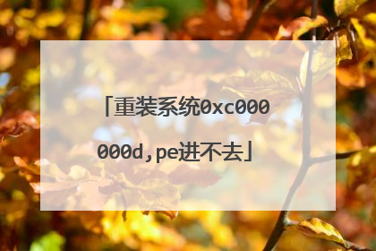 重装系统0xc000000d,pe进不去