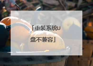 重装系统U盘不兼容