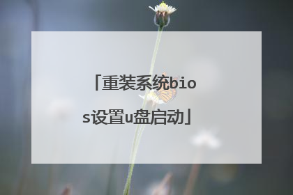 重装系统bios设置u盘启动