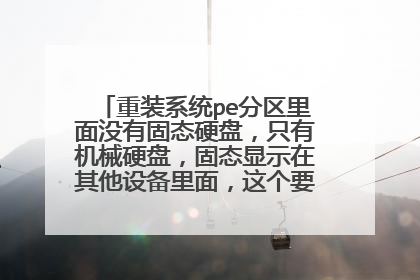 重装系统pe分区里面没有固态硬盘,只有机械硬盘,固态显示在其他设备里面,这个要怎么办呀?
